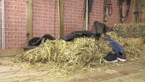 Busty Slut Deepthroats Bull Cock and Gets Pussy &amp; Ass Pounded Raw!