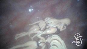 japanese mini girls anal exploration