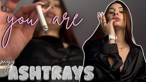 you are my Ashtrays