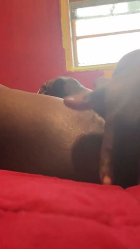I Got Soo Freakin Horny I Started Fingering Myself And Moaning DAMN My Bussy Wet Too   Clip 1