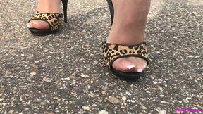 Walking in mules