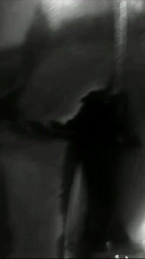 Trailer 382