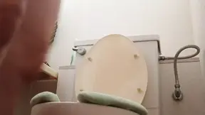 Various Toilet Scenes, Including Public Toilets