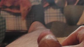 Solo on the Couch in the Living Room