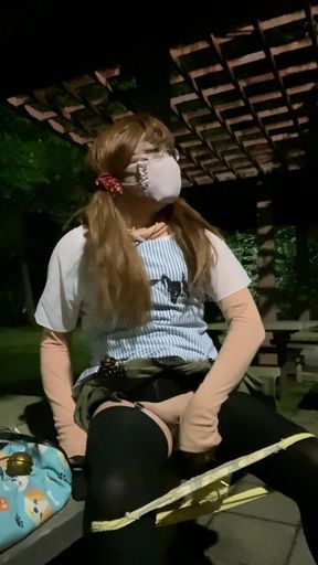No. 282 a Nighttime Exhibitionist Stroll in the Park