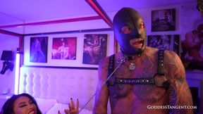 Cuck Tease