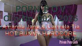 pov-film 02 - perverses bunny-duo fickt an ostern 4 schwanze