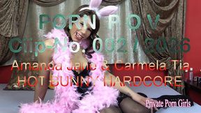 pov-film 02 - perverses bunny-duo fickt an ostern 4 schwanze