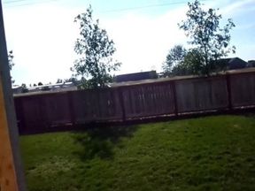 18 Year Old Backyard Blowjob Summer vs Winter