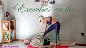 EXERCISES ON THE SLAVE ( Smartphone Version )