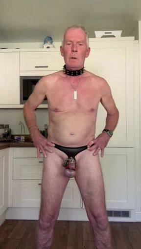 tail buttplug compilation