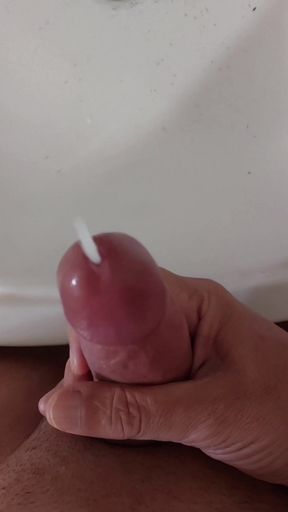 Ladysilva compilation 2: masturbating her big cock really nicely.