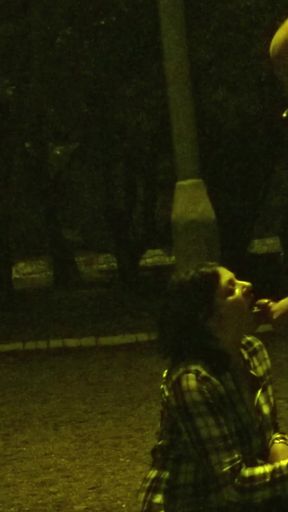 Slut Public Blowjob in Park