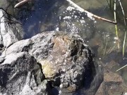 Quick piss before I launch my kayak
