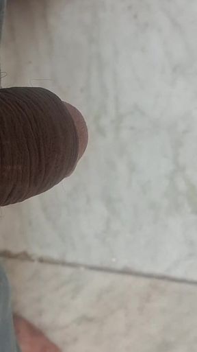 Dick in Rest Mode