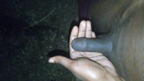 Ricky Christopher Commander's Dick The Grower Naturally From Small 2 Big Introduction