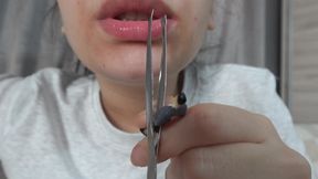 My Giantess Stepsister Plays Dentist with Tiny Stepbrother,