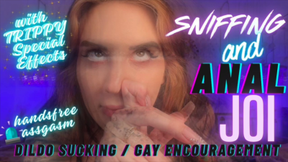 Handsfree Assgasm JOI with Dildo Sucking Instructions and Gay Encouragement with Sniffing Instructions and Special Effects