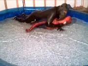 The Orca frogman has spiderman trapped in his jerkoff pool