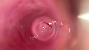 Teen Mia's Creamy Pussy Fucked by Transparent Dildo on Camera