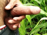 Outdoor handjob and cumshot on grass