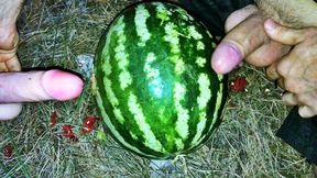 Fucking a WATERMELON with a dildo in the forest