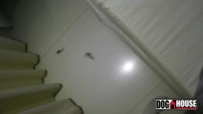 cibele pacheco tomando no cu e engolindo porra.