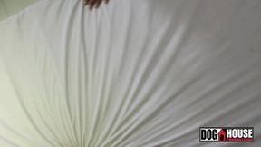 cibele pacheco tomando no cu e engolindo porra.