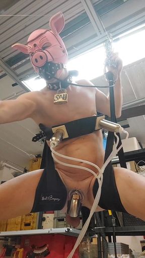 Powerful moment from &quot;Suspended Dildo Impalement Fuck Machine Slave Pig Slut Whore Nippel Milked Cunt Machine Fucked&quot;