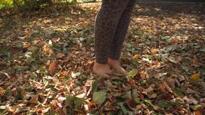 Leaves Crunching Underfoot Asmr
