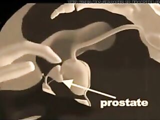 How to give a prostate massage