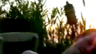 Beachside Orgy Dillon and Will Go Wild in a SunKissed Cock Jacking and Toy Fucking Spectacle!