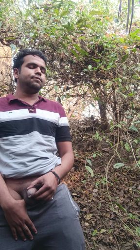 In Forest Alone