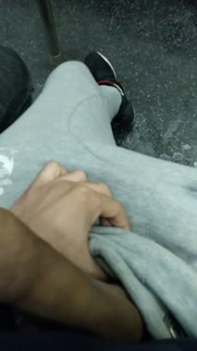 Girlfriend Plays With My Dick On Train Turns Into Mutual Play Session