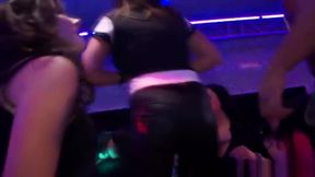 Hungry party amateur sluts sucking on cock