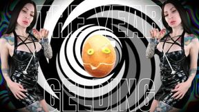 The year of gelding - TRIGGER