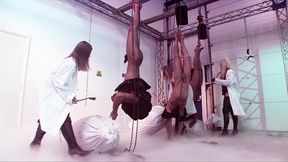 sex addicts vanessa hill, cindy behr, and gabriela glazer fucked
