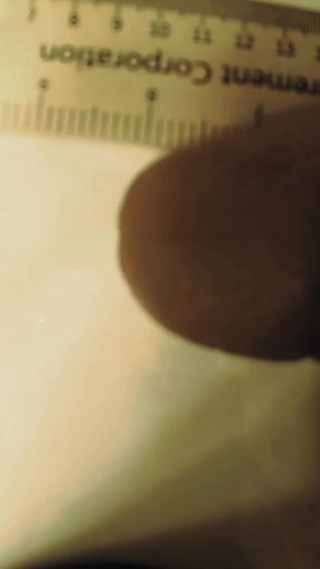 Vintage Mr. Dick Pants Original Video Compilation