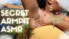 Secret Hairy Armpit ASMR by Ebony BBW Stretching Outside 4K