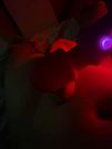 Gozando com o brinquedo