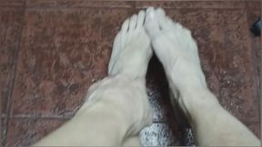 Video 1 Translated into English : Veins drawn by gravity