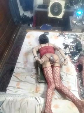 Anal Dode Gilboy Amazing