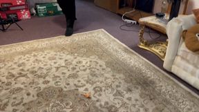 Lyssa Kicking little man