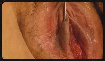 Yume Sazanami shows big jugs and hot box