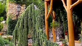 ”Sexy men sucking each other off & rimming those tight holes”