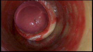 Nærbilde-samling av unge amatør-crossdressere i kjoler som stryker store kuker før intense anal-creampies og cumshots