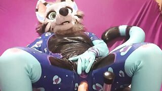snep getting fuck