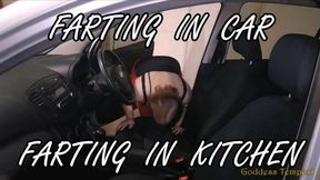 Extreme Fart Scenes 19 - Facefarts, Fart, Farting, Riding In Car, Face Sitting, Ass Worship, Female Domination, Ass Eating