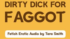 Dirty Dick For Faggot Fetish Erotic Audio