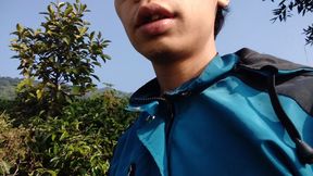 Walking Through a Beautiful Tea Plantation  Relaxing Nature Adventure